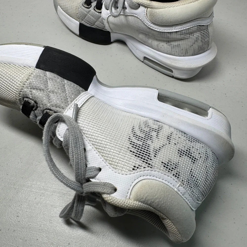 Nike lebron witness